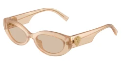 SunGlasses | DOLCE & GABBANA דולצ'ה גבנה | DG 4537 3089/93 53-19-145