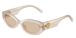 SunGlasses | DOLCE & GABBANA דולצ'ה גבנה | DG 4537 3420/93 53-19-145