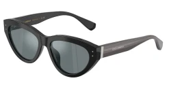 SunGlasses | DOLCE & GABBANA דולצ'ה גבנה | DG 4558 501/6G 54-17-145