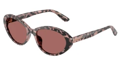 SunGlasses | DOLCE & GABBANA דולצ'ה גבנה | DG 4570 3476/69 53-18-145