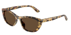 SunGlasses | DOLCE & GABBANA דולצ'ה גבנה | DG 4571 512/73 56-18-145