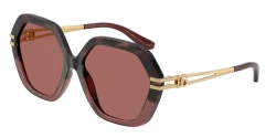SunGlasses | DOLCE & GABBANA דולצ'ה גבנה | DG 6210 3493/69 56-16-145