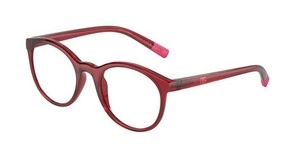  | DOLCE & GABBANA דולצ'ה גבנה | DX 5095 15/51 48-19-130
