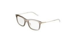  | DOLCE & GABBANA דולצ'ה גבנה | DG 1293 488 53-19-145