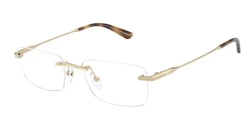 EyeGlasses | EMPORIO ARMANI אימפוריו ארמני | EA 1195TD 3013 54-19-145