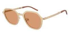 SunGlasses | EMPORIO ARMANI אימפוריו ארמני | EA 2176 3002/7 51-23-145