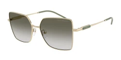 SunGlasses | EMPORIO ARMANI אימפוריו ארמני | EA 2179 3013/2A 56-16-140