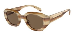 משקפי שמש | EMPORIO ARMANI אימפוריו ארמני | EA 4230U 6150/73 48-25-145