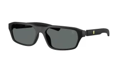 SunGlasses | Scuderia Ferrari סקודריה פרארי | FZ6032D 504/81 58-17-145
