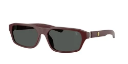 SunGlasses | Scuderia Ferrari סקודריה פרארי | FZ6032D 530/1Y 58-17-145