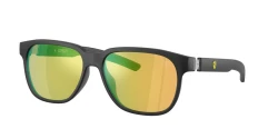 SunGlasses | Scuderia Ferrari סקודריה פרארי | FZ6033D 531/8N 58-16-145