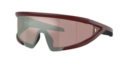 SunGlasses | Scuderia Ferrari סקודריה פרארי | FZ6038U 530/B5 43-143-145