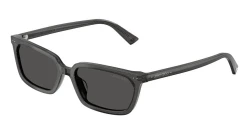 SunGlasses | JIMMY CHOO ג'ימי צ'ו | JC5050U 512287 55-16-140
