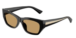 SunGlasses | JIMMY CHOO ג'ימי צ'ו | JC5071BU 500073 54-16-140