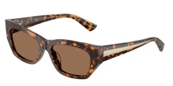 SunGlasses | JIMMY CHOO ג'ימי צ'ו | JC5071BU 512173 54-16-140