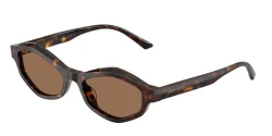 SunGlasses | JIMMY CHOO ג'ימי צ'ו | JC5077U 500273 52-17-140