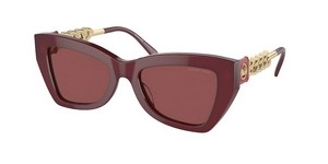 SunGlasses | Michael Kors מייקל קורס | MK 2205 394975 52-19-140