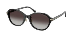 SunGlasses | Michael Kors מייקל קורס | MK 2289D 30058G 55-18-145