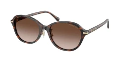 SunGlasses | Michael Kors מייקל קורס | MK 2289D 403913 55-18-145