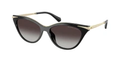 SunGlasses | Michael Kors מייקל קורס | MK 2294U 30058G 54-16-140