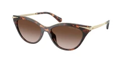 SunGlasses | Michael Kors מייקל קורס | MK 2294U 403113 54-16-140