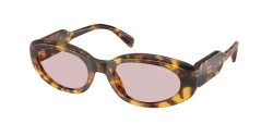 SunGlasses | miu miu מיו מיו | SMU C01 14L-4I0 53-20-140