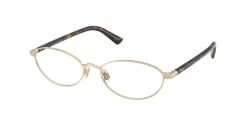 EyeGlasses | Polo Ralph Lauren פולו ראלף לורן | PH 1249 9204 53-16-140
