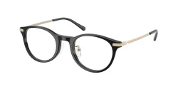 EyeGlasses | Polo Ralph Lauren פולו ראלף לורן | PH 2313D 5387 48-21-145