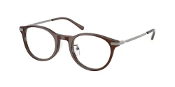 EyeGlasses | Polo Ralph Lauren פולו ראלף לורן | PH 2313D 6282 48-21-145
