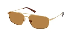 SunGlasses | Polo Ralph Lauren פולו ראלף לורן | PH 3164 9324/93 58-14-145