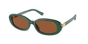 SunGlasses | Polo Ralph Lauren פולו ראלף לורן | PH 4198U 6195/73 53-17-145