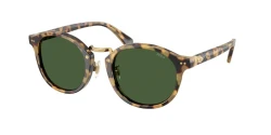 SunGlasses | Polo Ralph Lauren פולו ראלף לורן | PH 4230 5004/71 50-22-145