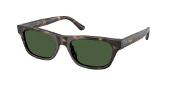 SunGlasses | Polo Ralph Lauren פולו ראלף לורן | PH 4238U 5003/71 53-18-140
