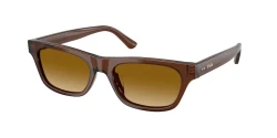 SunGlasses | Polo Ralph Lauren פולו ראלף לורן | PH 4238U 6353/2L 53-18-140