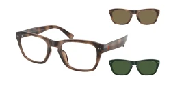 SunGlasses | Polo Ralph Lauren פולו ראלף לורן | PH 4254U 5003/73 53-20-145
