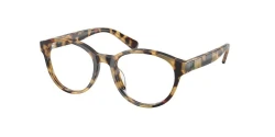 EyeGlasses | Polo Ralph Lauren פולו ראלף לורן | PP 8546U 6148 49-17-130