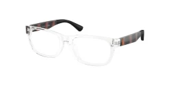 EyeGlasses | Polo Ralph Lauren פולו ראלף לורן | PP 8555U 6165 49-16-125