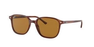  | Ray-Ban רייבן | RB 2193 954/33 51-18-145
