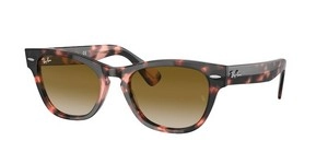  | Ray-Ban רייבן | RB 2201 133451 54-20-145