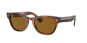  | Ray-Ban רייבן | RB 2201 954/33 54-20-145