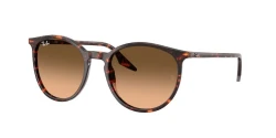 משקפי שמש | Ray-Ban רייבן | RB 2204 14293B 54-20-145