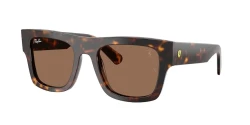 משקפי שמש | Ray-Ban רייבן | RB 2217M F61373 53-21-145