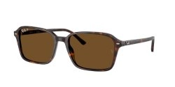 משקפי שמש | Ray-Ban רייבן | RB 2231 902/57 56-18-145