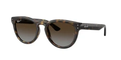 SunGlasses | Ray-Ban רייבן | RB 2237 710/T5 51-20-145