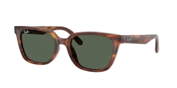 SunGlasses | Ray-Ban רייבן | RB 2243D 954/71 55-19-145