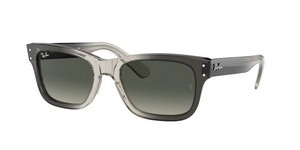 | Ray-Ban רייבן | RB 2283 134071 52-20-145