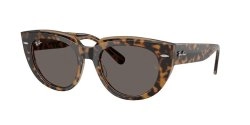 משקפי שמש | Ray-Ban רייבן | RB 2286 1292B1 49-20-145