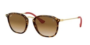  | Ray-Ban רייבן | RB 2448NM F60351 51-21-150