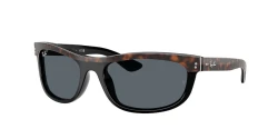 משקפי שמש | Ray-Ban רייבן | RB 2489 1441R5 62-19-135