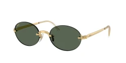 משקפי שמש | Ray-Ban רייבן | RB 3929 001/71 54-20-145